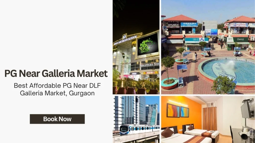 affordable pg in gurgaon near me galleria market